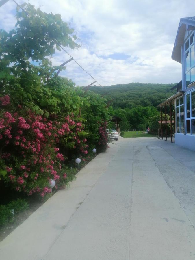 Casa Amaya Bacău Exteriör bild